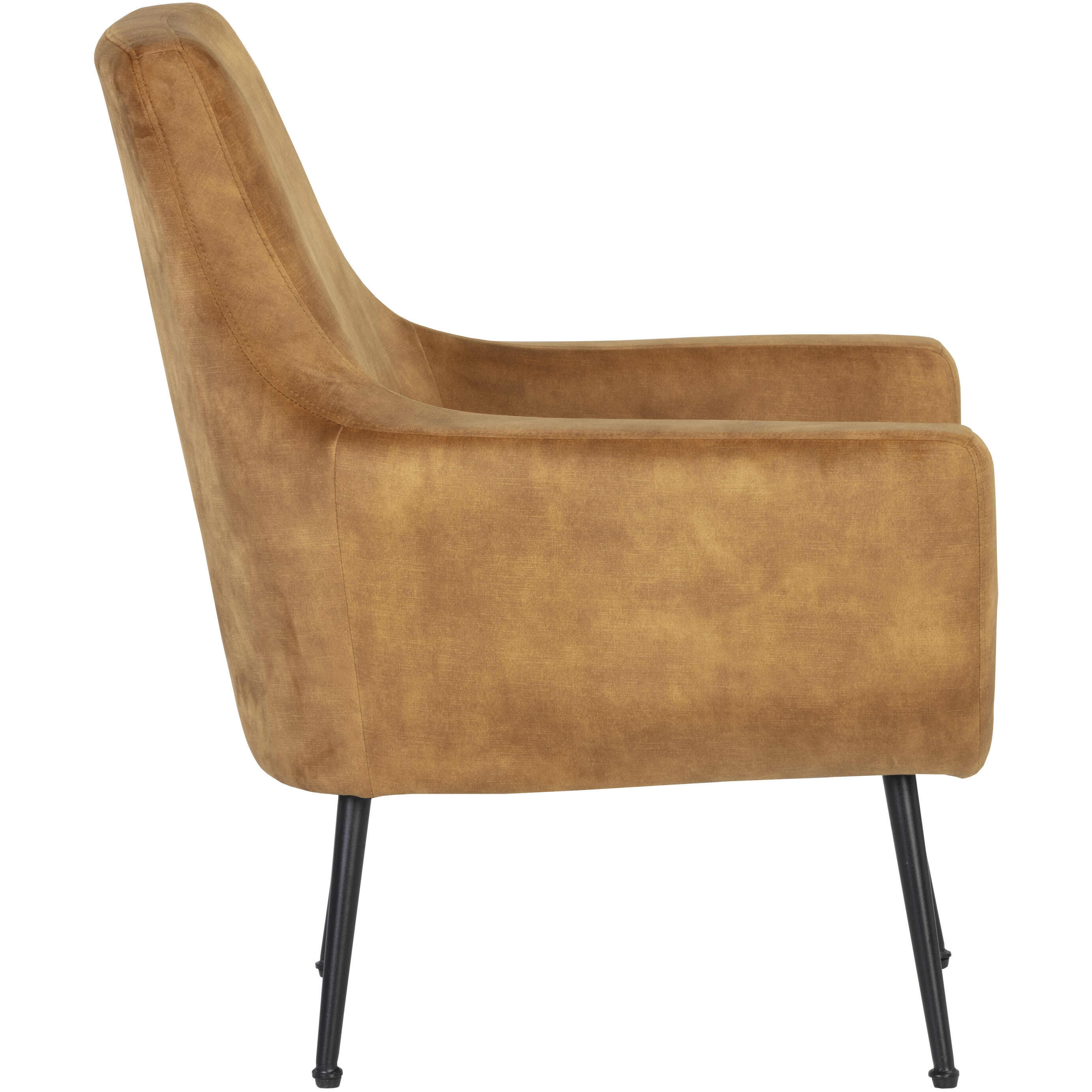 Aletta Nono Tapenade Gold Lounge Chair